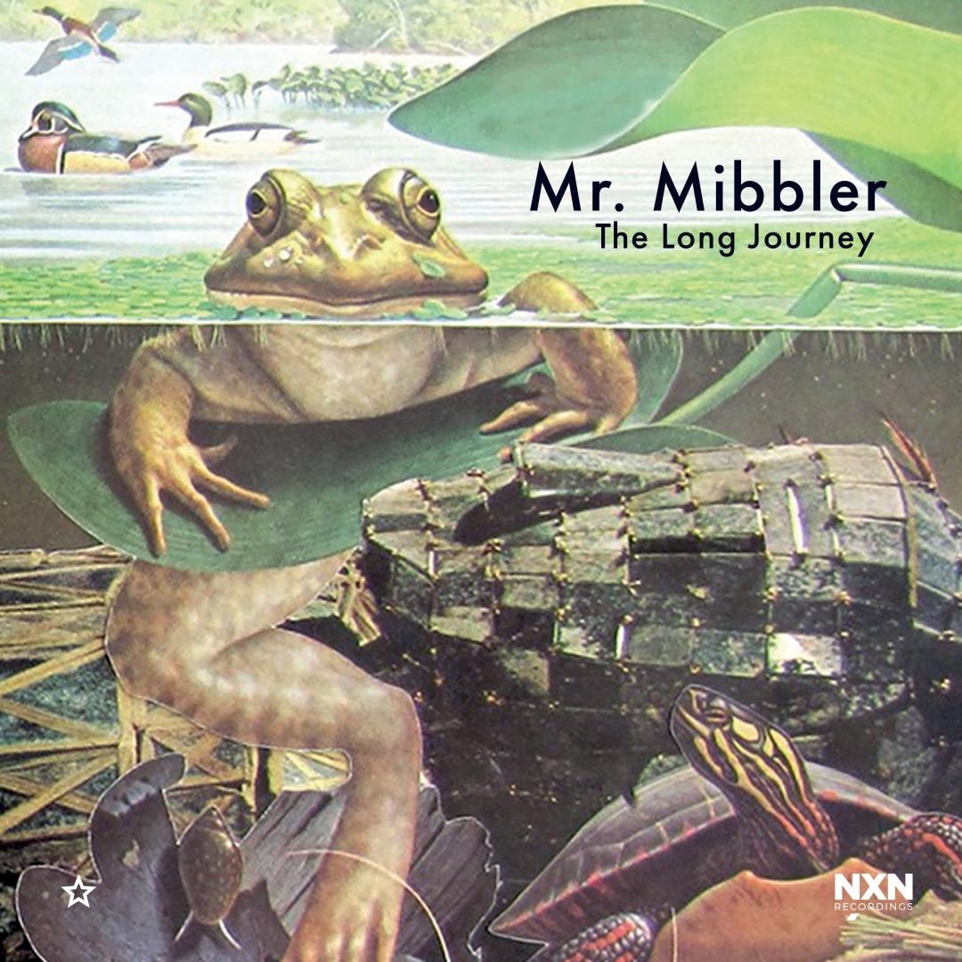 Illustrated album cover showing a large frog floating at water's surface above an underwater scene with sunken treasure chest, featuring green and brown tones with "Mr. Mibbler The Long Journey" text