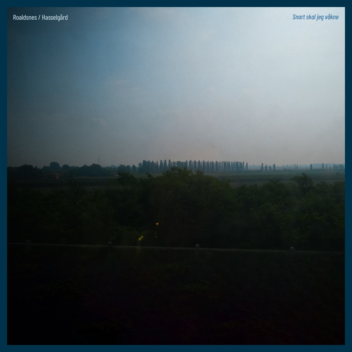 Misty twilight landscape with dark silhouetted trees and fields in foreground, distant row of tall trees on horizon under hazy gray-blue sky