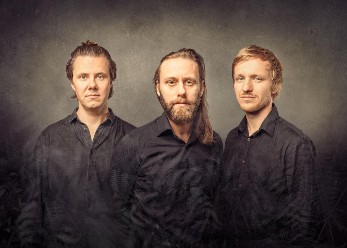 Three men in dark shirts pose together against a moody gray background with fern shadows overlay, creating an atmospheric band portrait
