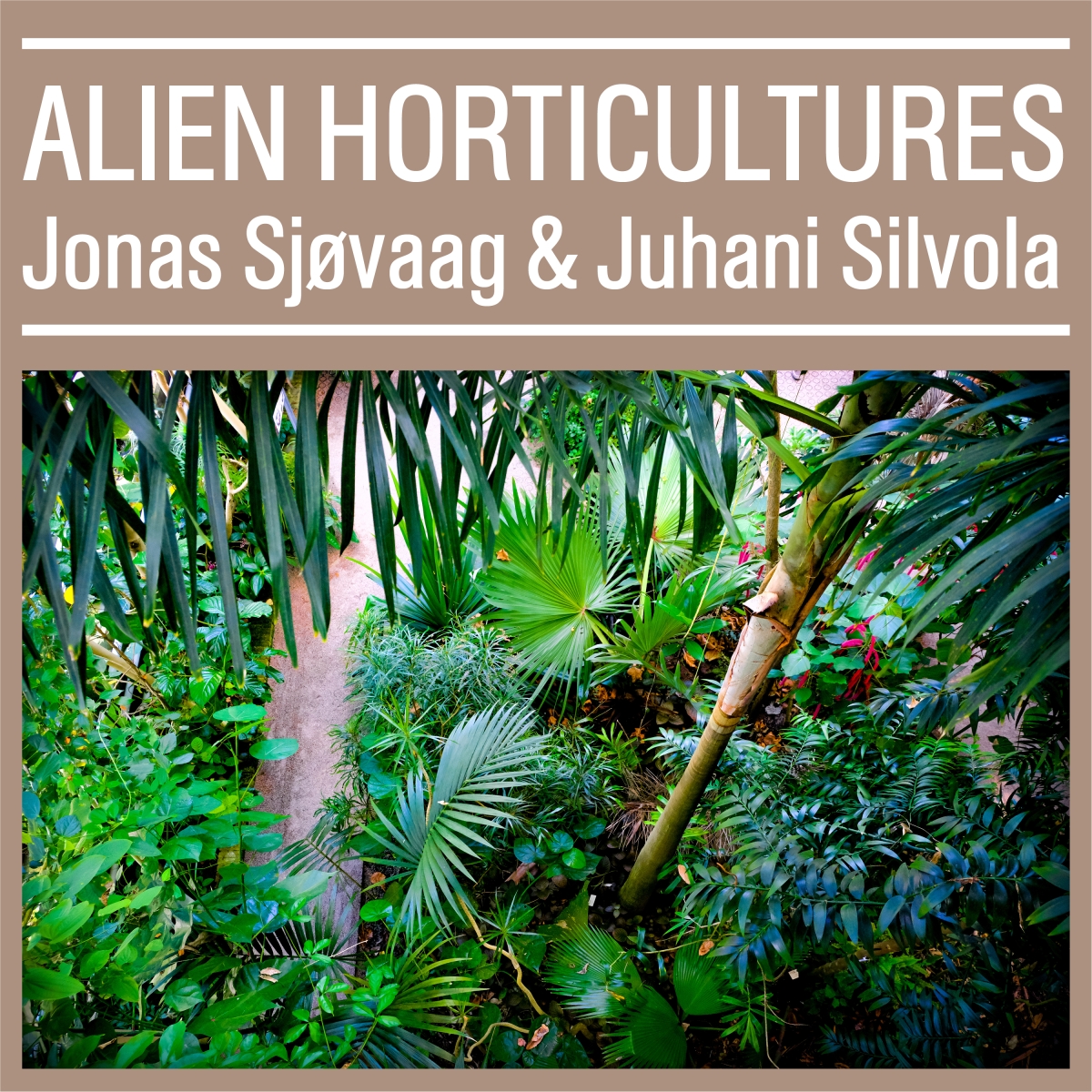 Lush tropical garden with dense green foliage, palm fronds, and bamboo along a winding path. Album cover for "Alien Horticultures" by Jonas Sjøvaag & Juhani Silvola.