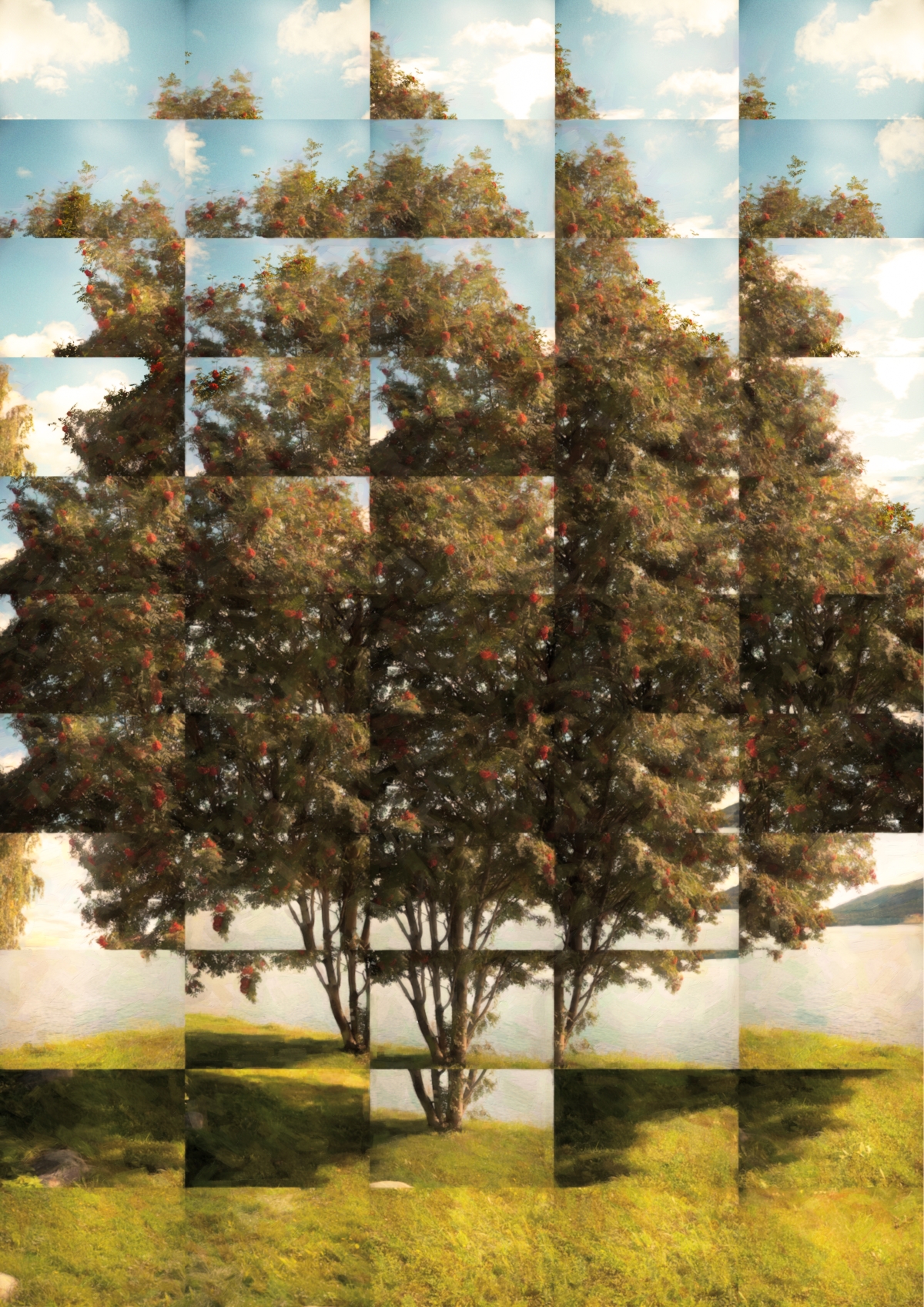 Fragmented grid composition showing rowanberry tree with red berries against blue sky, creating mosaic effect over green landscape with lake background