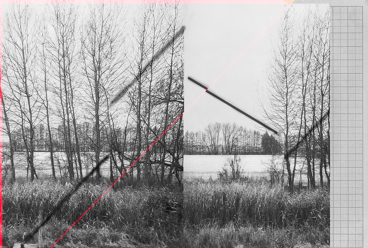 Black and white winter landscape with bare trees and snowy field, overlaid with red dotted line, pencil, and graph paper elements creating an artistic collage effect.