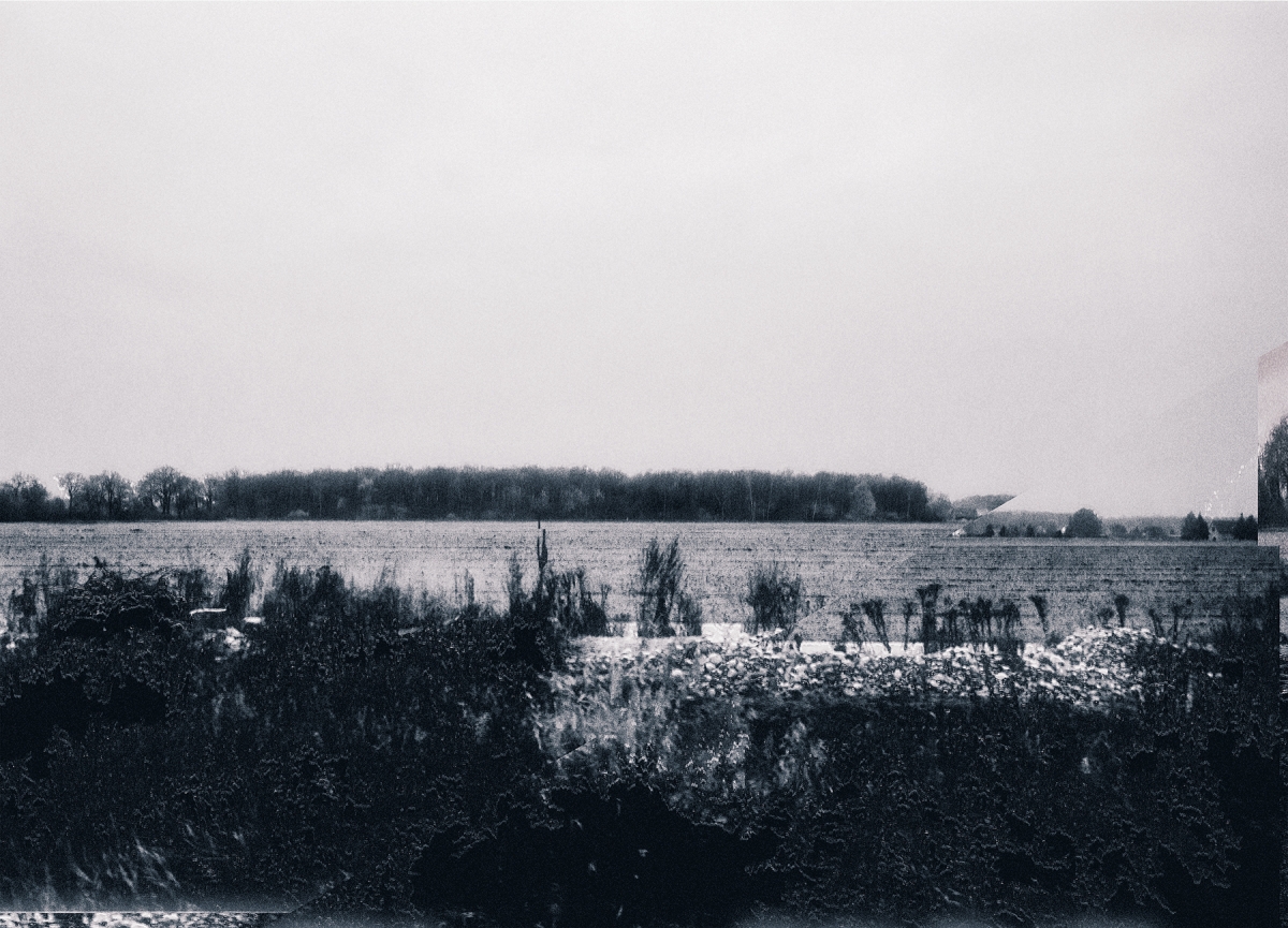 Black and white landscape showing overgrown vegetation in foreground, open fields, and distant treeline under overcast sky with somber, blurred mood.