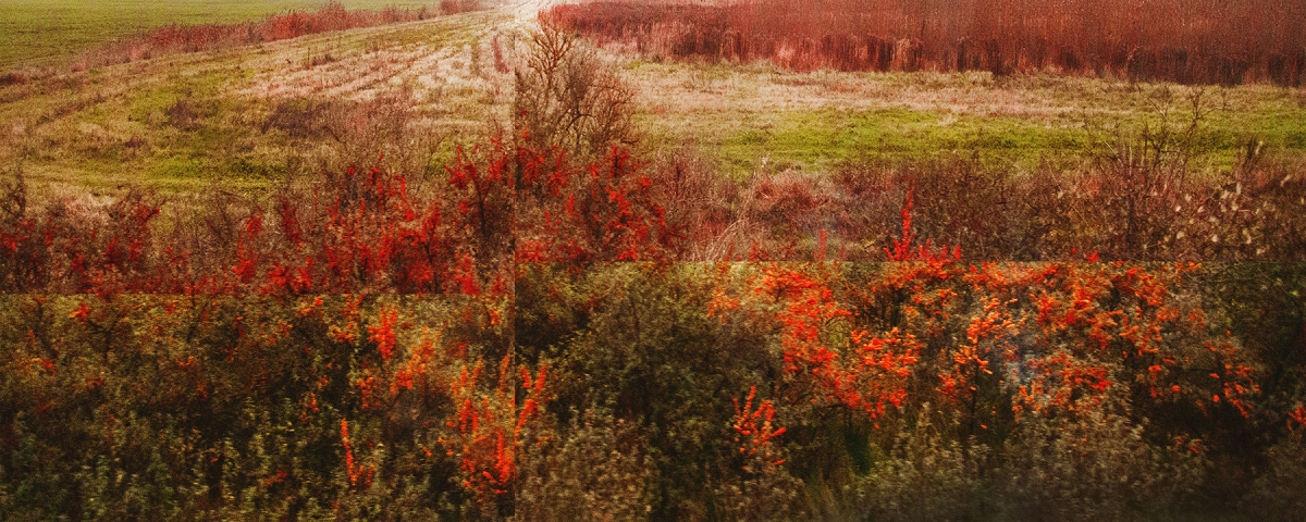 Aerial view of autumn landscape with vibrant red and orange foliage contrasting against green fields and bare brown terrain in soft, dreamy light.