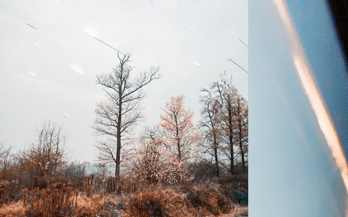 Double exposure of bare winter trees against cloudy sky merged with diagonal light streak on blue background, creating dreamy blurred effect