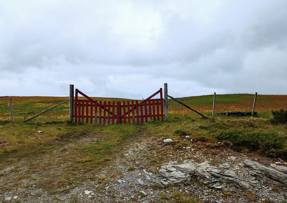 Red wooden gate with wire fence crosses rural dirt path through grassy highland terrain under overcast gray sky in Norwegian countryside