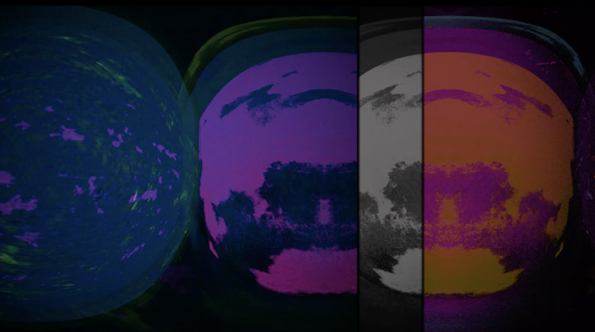 Four distorted spherical views in different color filters - blue/green, purple, grayscale, and orange/purple - showing warped landscape imagery against black background.