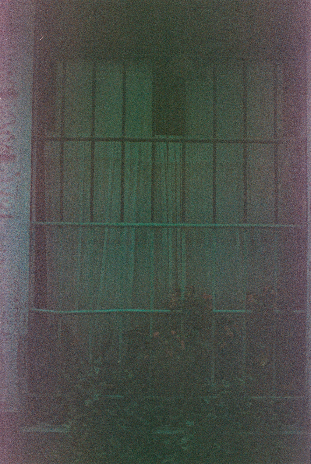 Expired film photo with heavy green color cast: barred window with sheer curtain, dark plants below, grainy vintage texture, moody dim light.