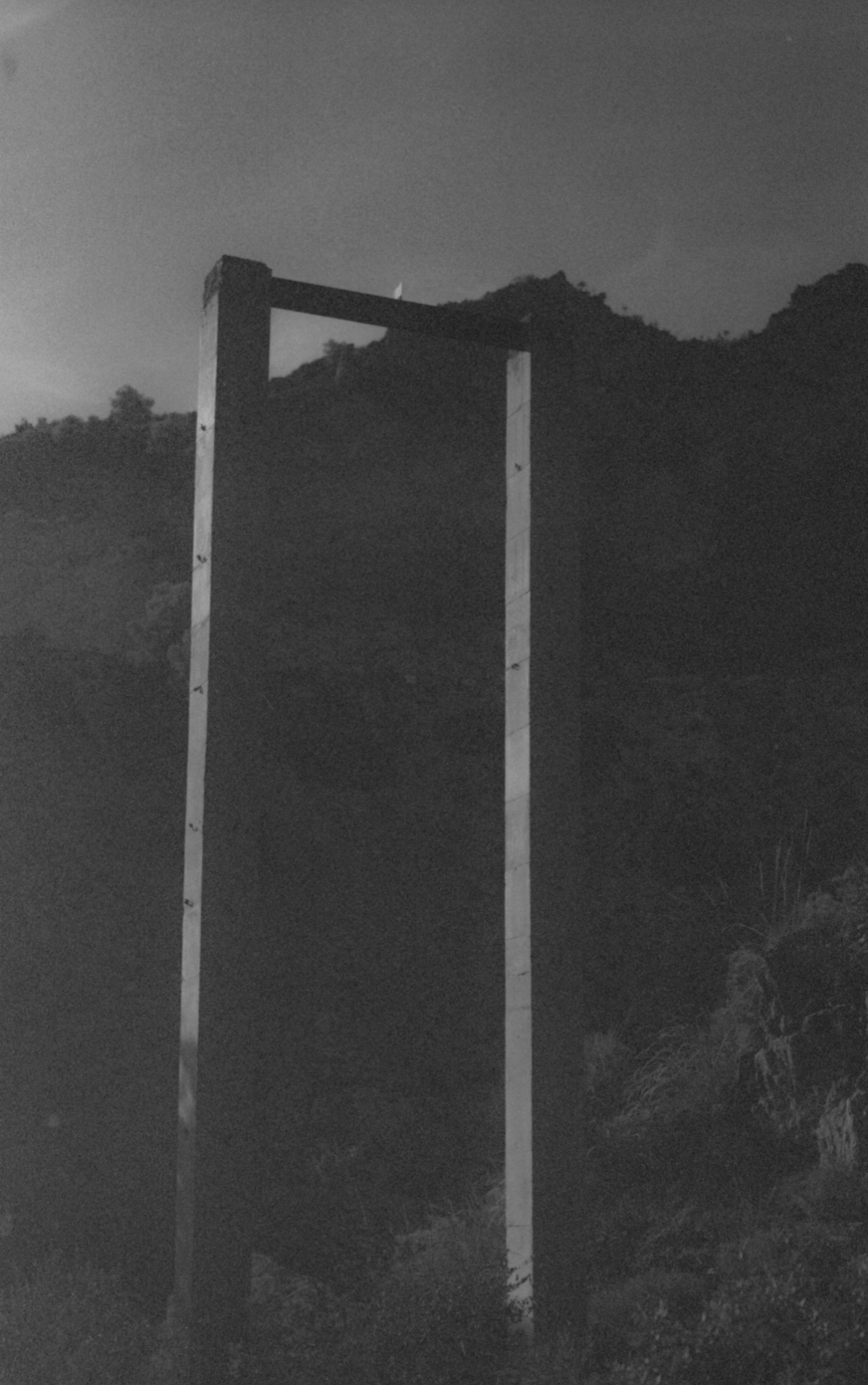 Black and white photograph showing a stark wooden doorframe standing alone in an overgrown field against a moody, overcast sky with hills in background.