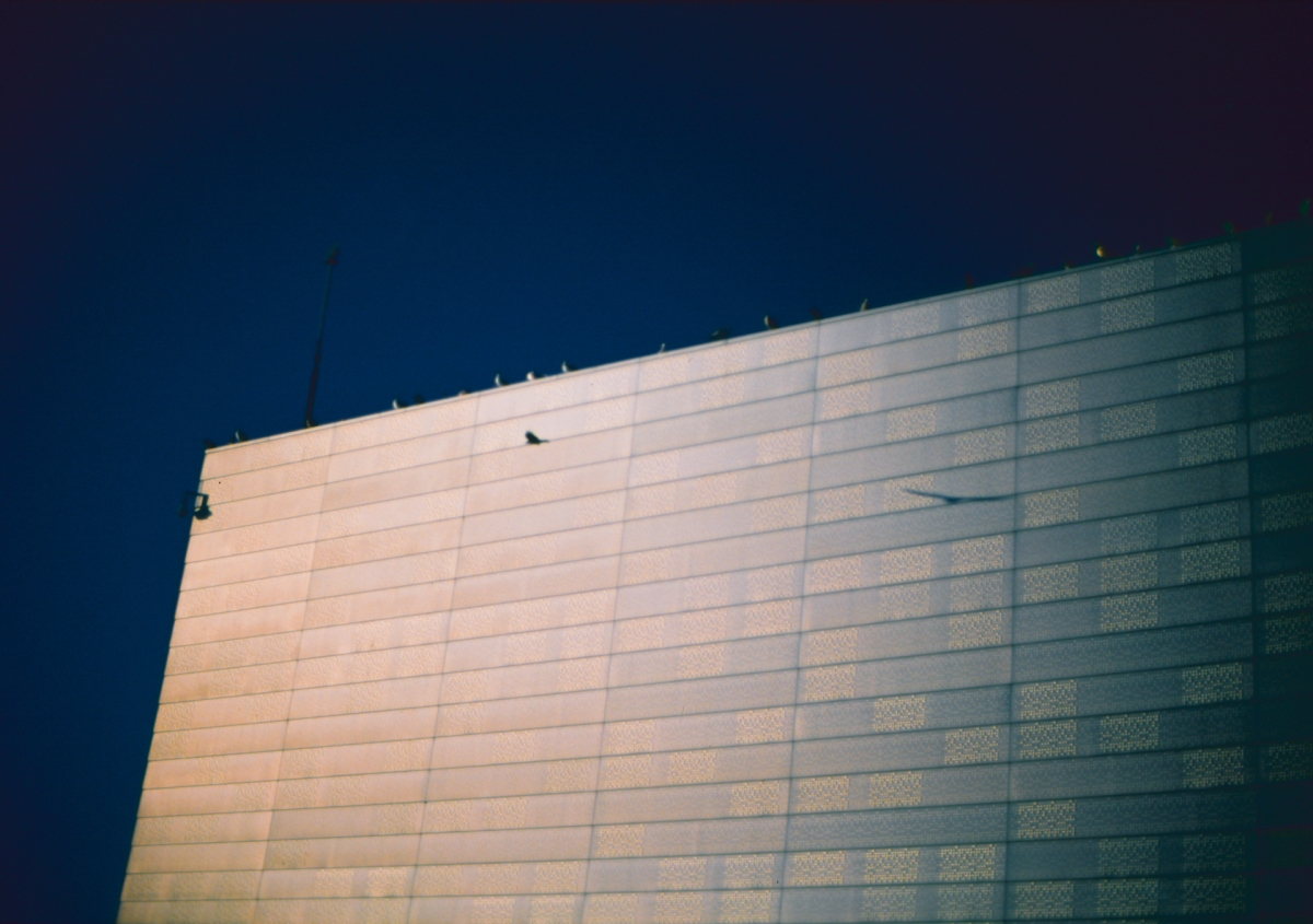 Dramatic upward view of illuminated building facade with warm golden light against deep blue twilight sky, small bird silhouette visible