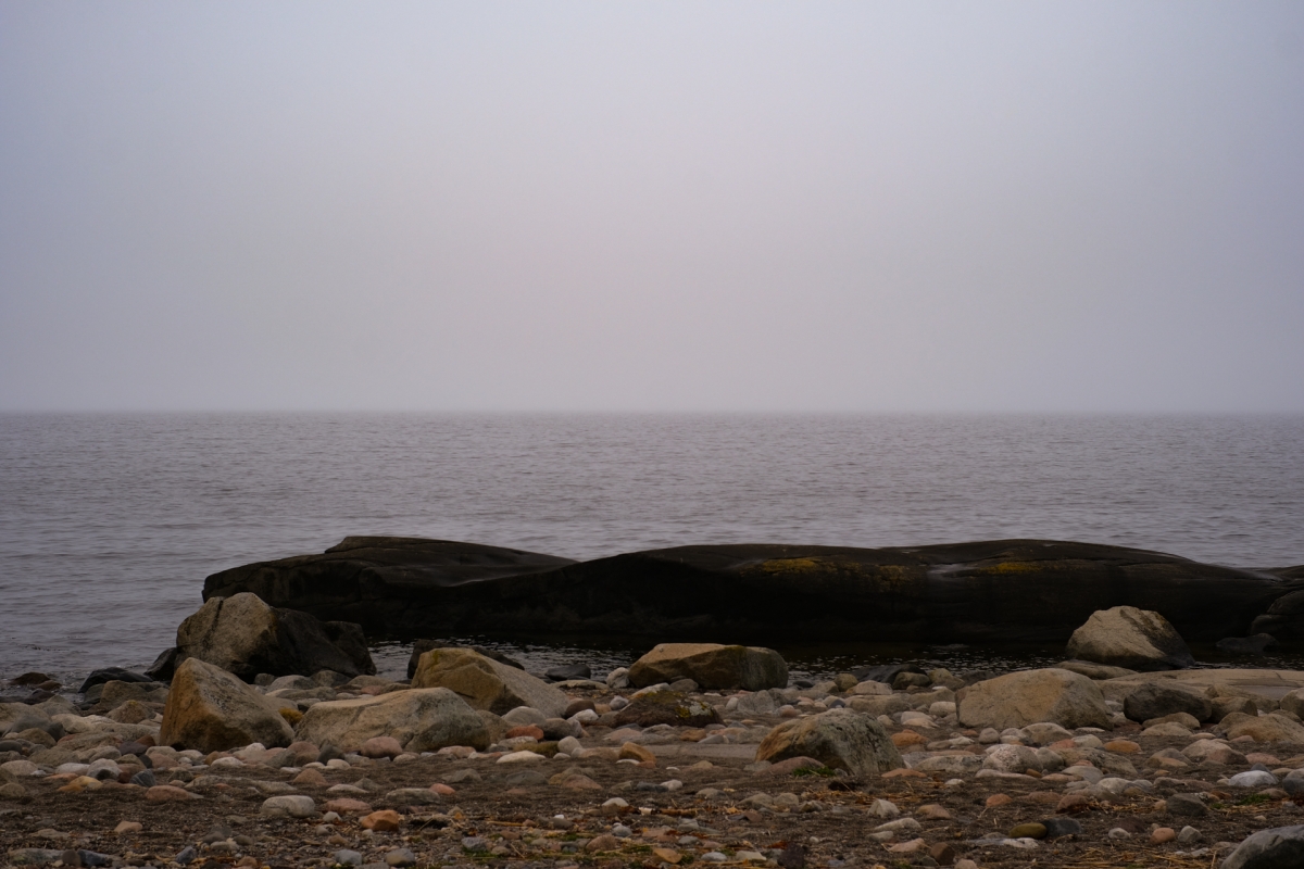 Rocky coastal shore with moss-covered dark rocks and scattered pebbles under overcast gray sky, creating moody seascape atmosphere
