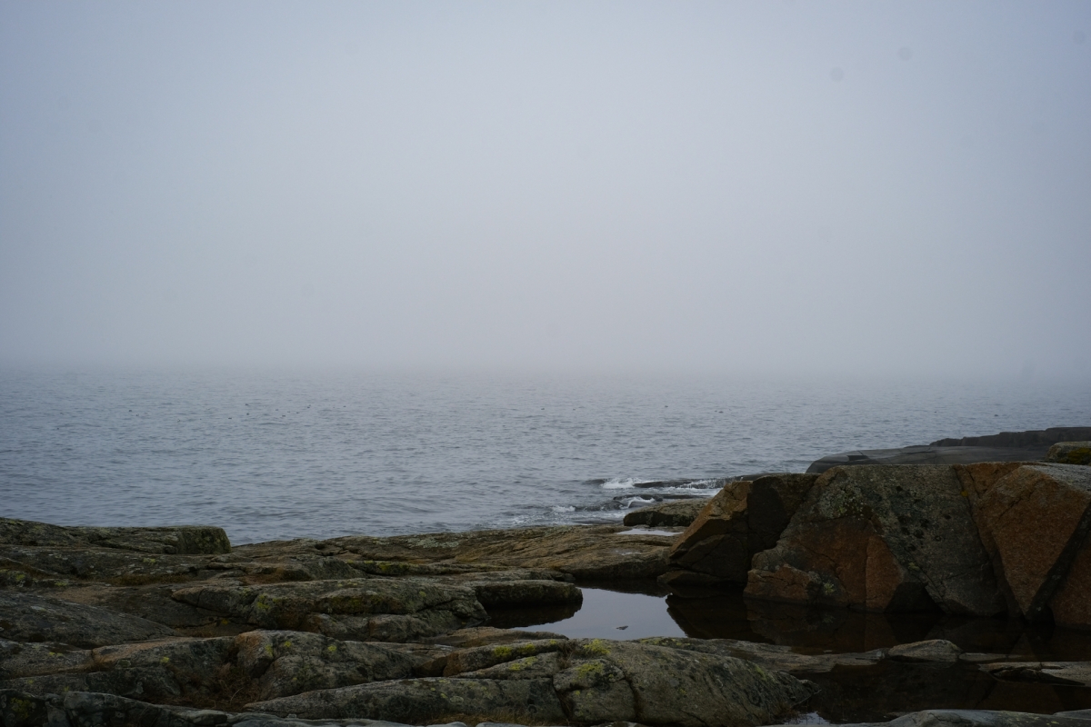 Rocky coastal landscape with moss-covered stones, tidal pools, and gray ocean under overcast sky creating moody atmosphere
