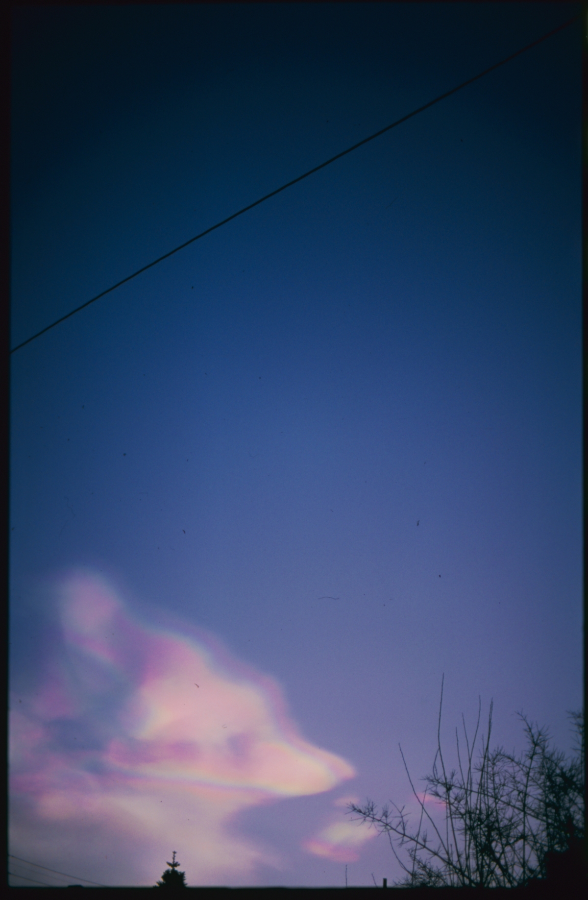 Deep blue twilight sky with soft pink and white clouds, power lines crossing diagonally, bare tree branches silhouetted in corner