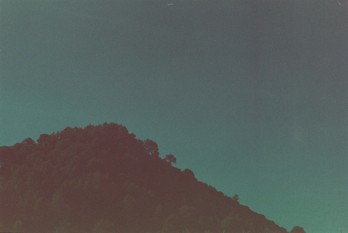 Silhouetted tree-covered hillside against a teal-green sky with a subtle color gradient, evoking a moody, expired-film aesthetic.