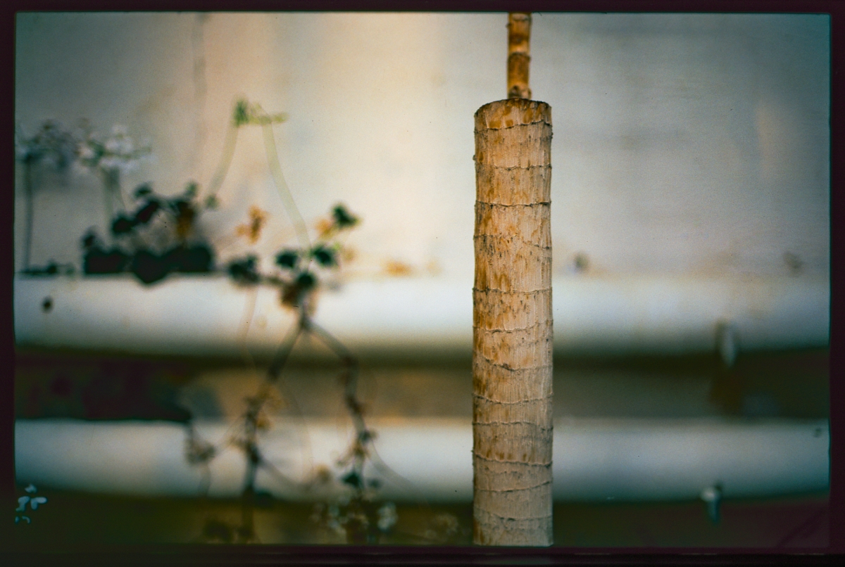 Weathered bamboo stake in foreground with blurred white bathtub and potted plants in soft natural lighting, creating peaceful garden atmosphere