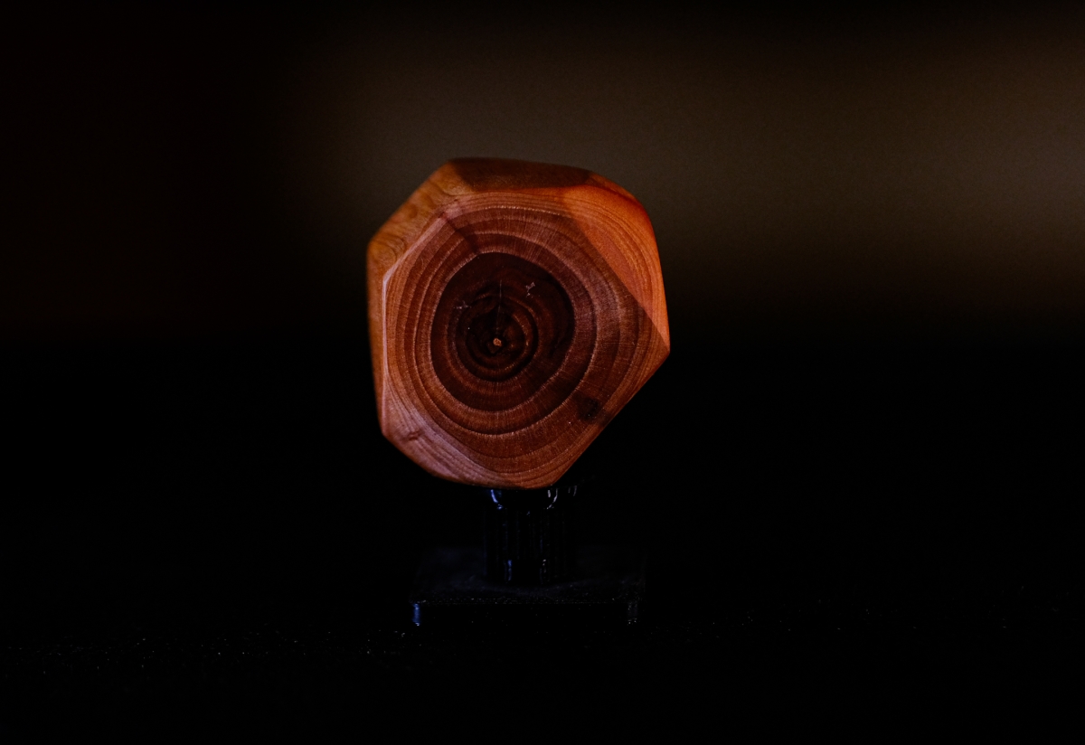 Illuminated wooden bowl sculpture with concentric growth rings in warm orange and red tones against dark background, mounted on black stand