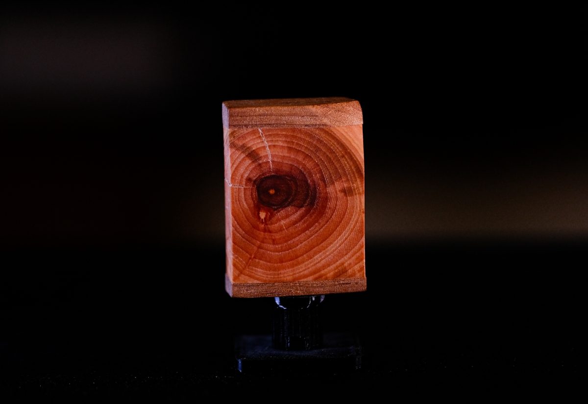 Polished wood block sculpture displaying concentric growth rings in warm orange-brown tones, mounted on dark stand against black background