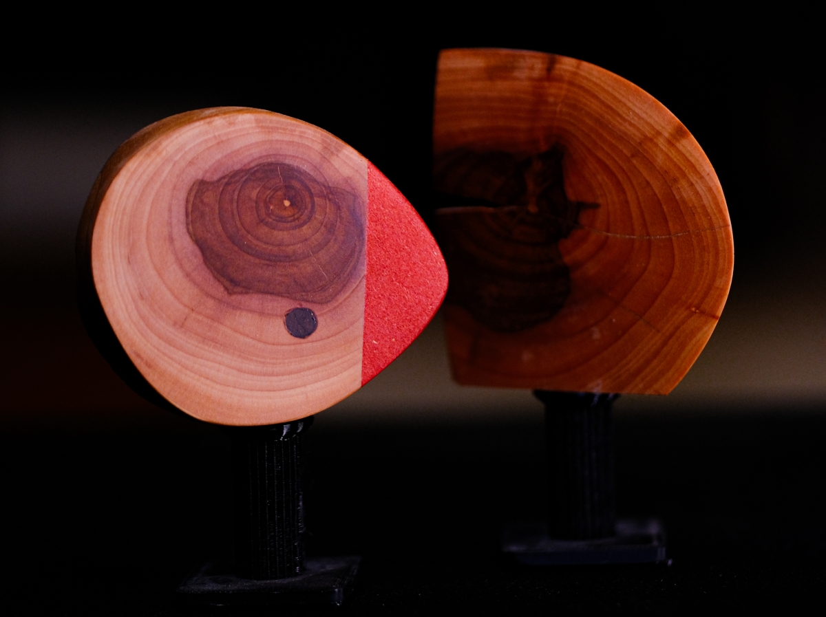 Two wooden sculptural pieces displaying concentric growth rings - left piece features red accent section, right piece shows natural orange-brown wood tones