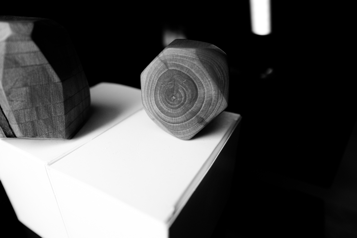 Black and white image showing wooden objects with visible tree rings resting on white paper, creating dramatic shadows in moody lighting