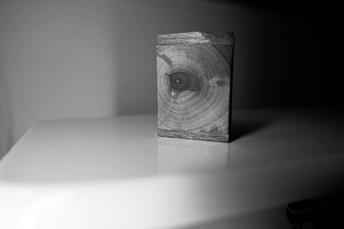 Black and white photo showing a rectangular wooden block with visible tree rings and grain patterns, positioned on a white surface with dramatic lighting and shadows.