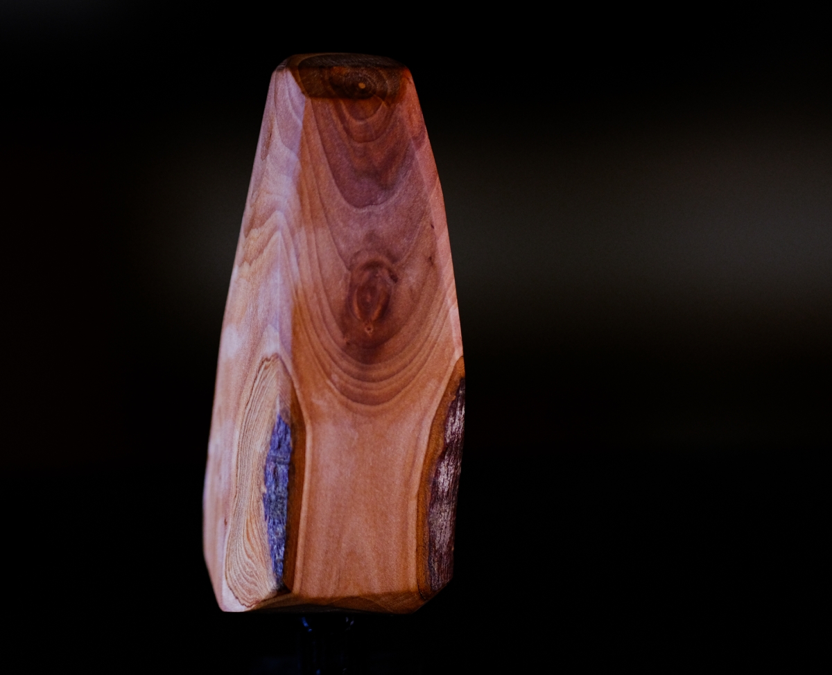 Polished wooden sculpture with rich grain patterns and blue resin inlay, photographed against dark background with dramatic lighting