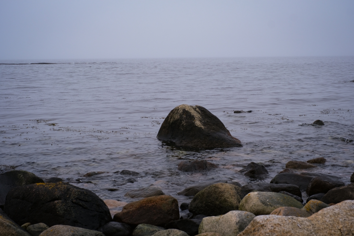 Calm gray seascape with weathered boulder emerging from still water, surrounded by moss-covered rocks along misty shoreline