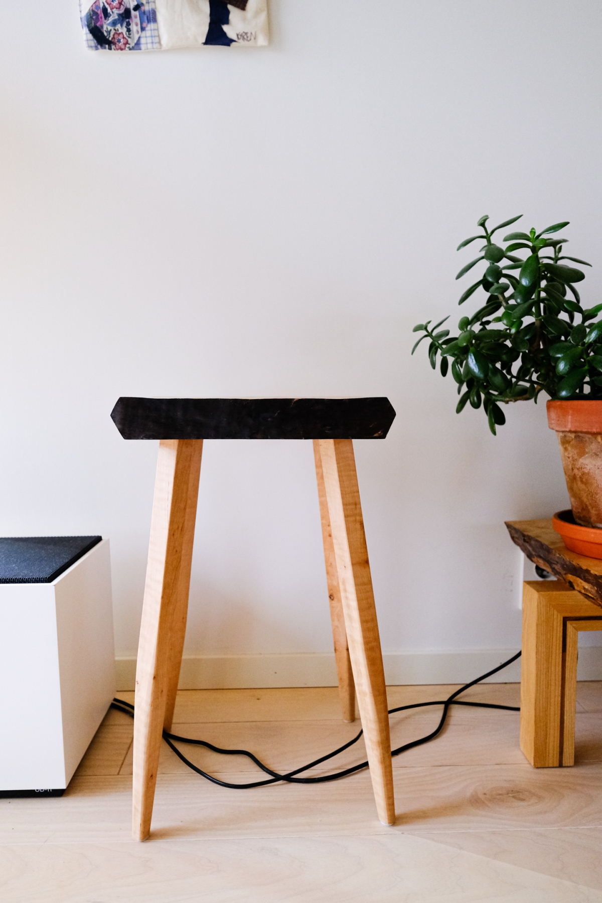 Black wooden stool with natural wood legs sits on light wooden floor beside green plant in terracotta pot, white wall background, cozy minimalist interior