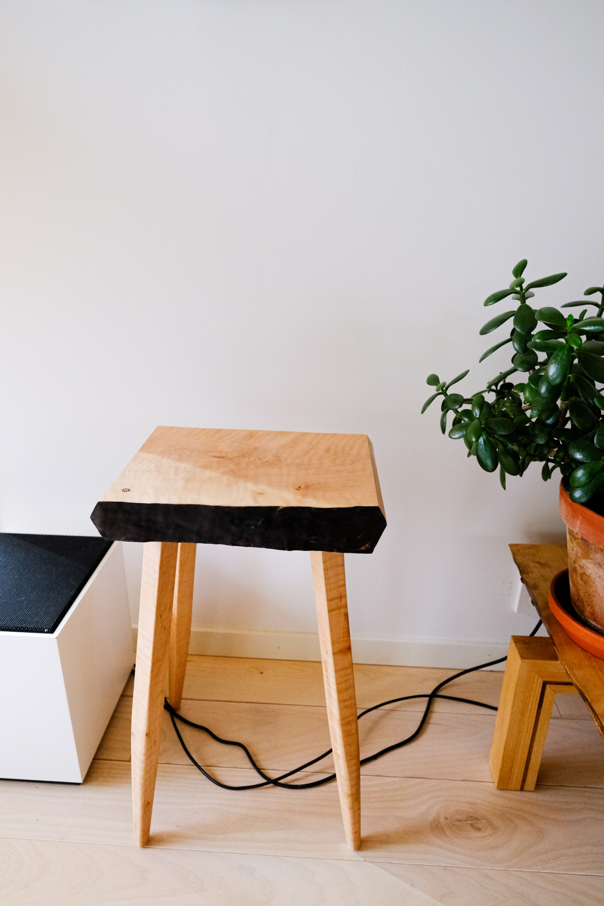 Wooden stool with live-edge slab seat and light wood legs sits on blonde hardwood floor, with white box, plant in terracotta pot, and black cables visible in minimalist interior setting.